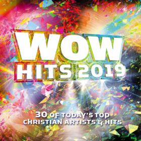 VA - WOW Hits 2019 (2CD Deluxe Edition) (2018) Mp3 (320kbps) [Hunter]