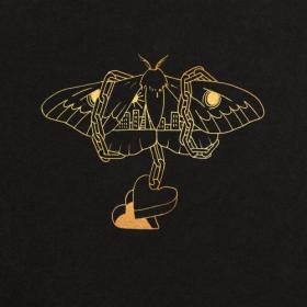 David Gray - Gold in a Brass Age (2019) [320]