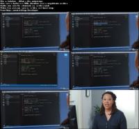 lynda ptgui torrent lynda ptgui torrent