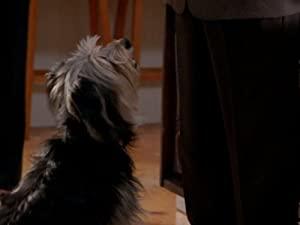Mr.
