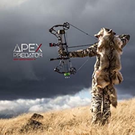 Apex